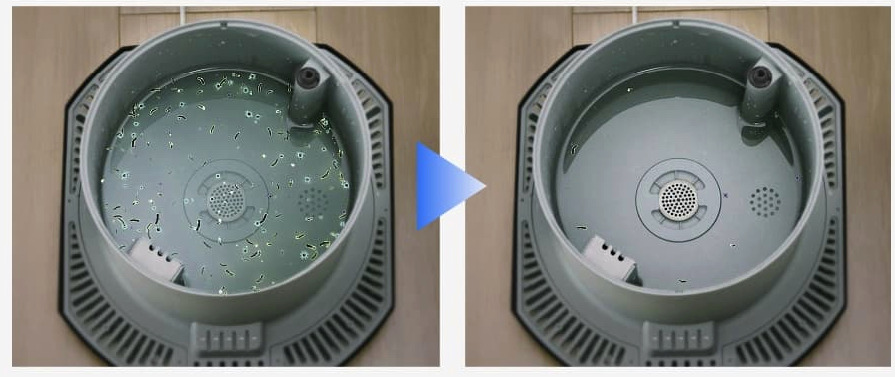 除菌前と除菌後の画像